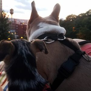 Meet your Posher, Olivia